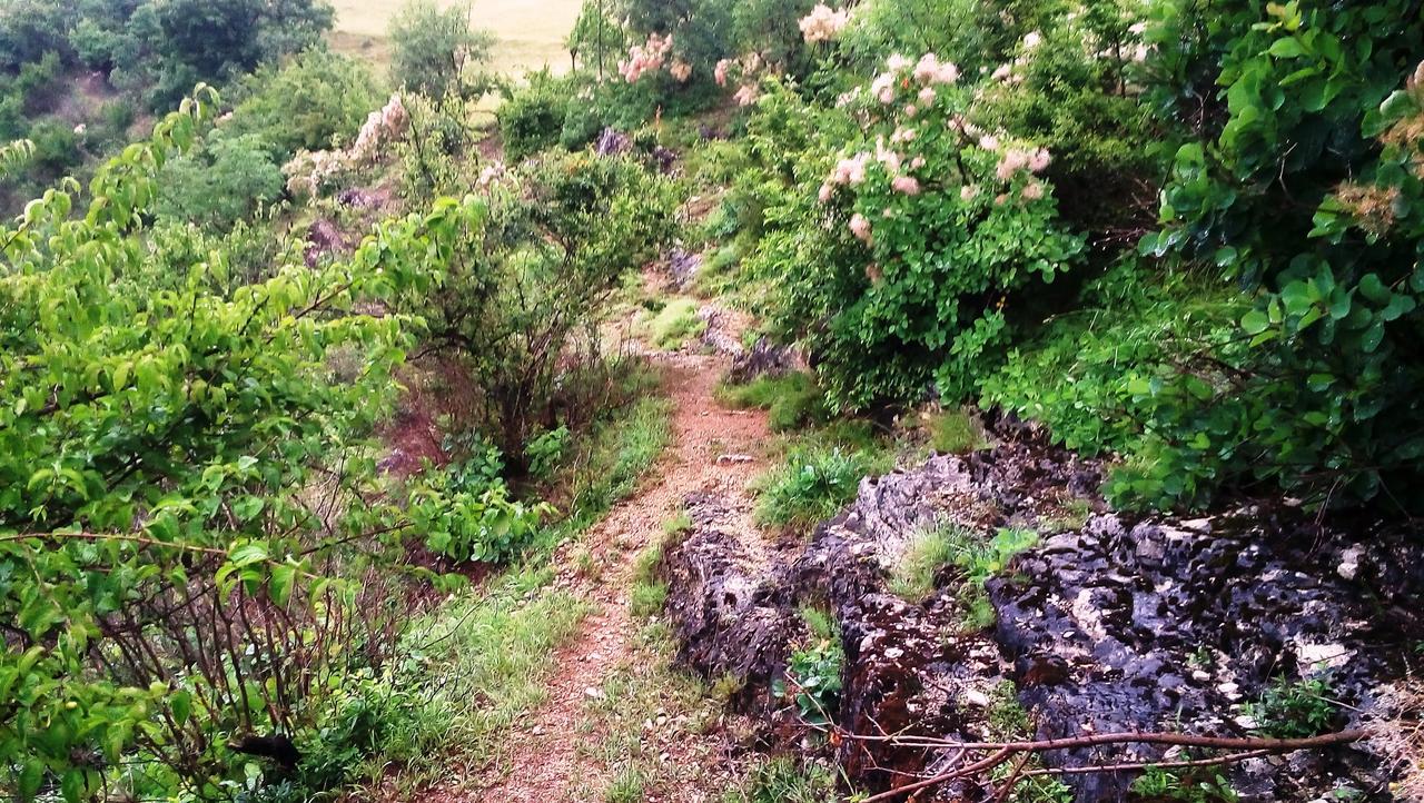 Una Canyon Paradise Bihać Esterno foto