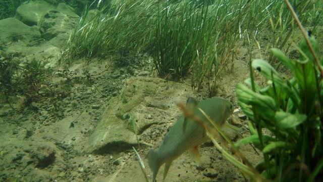 Una Canyon Paradise Bihać Esterno foto