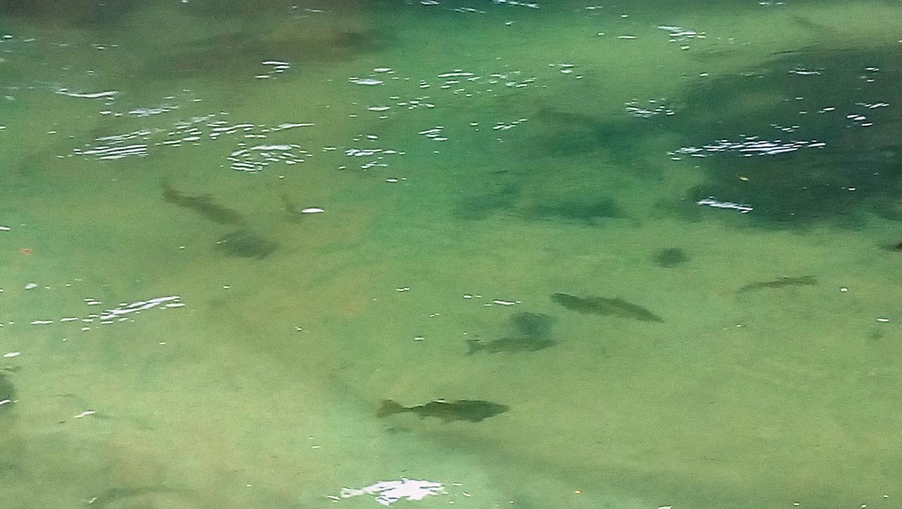Una Canyon Paradise Bihać Esterno foto